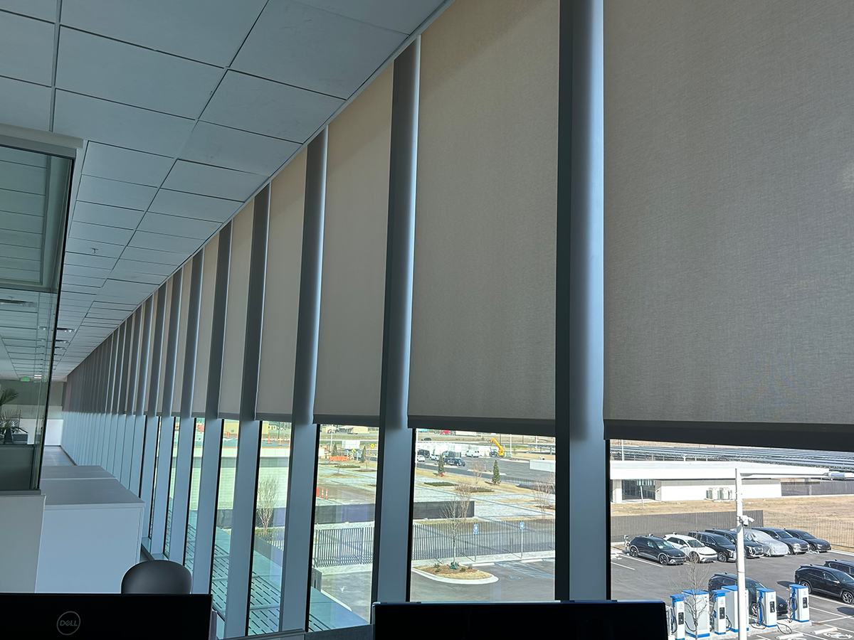 commercial interior shades bluffton