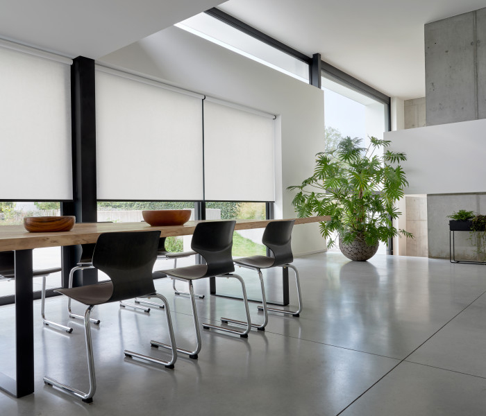 interior shades