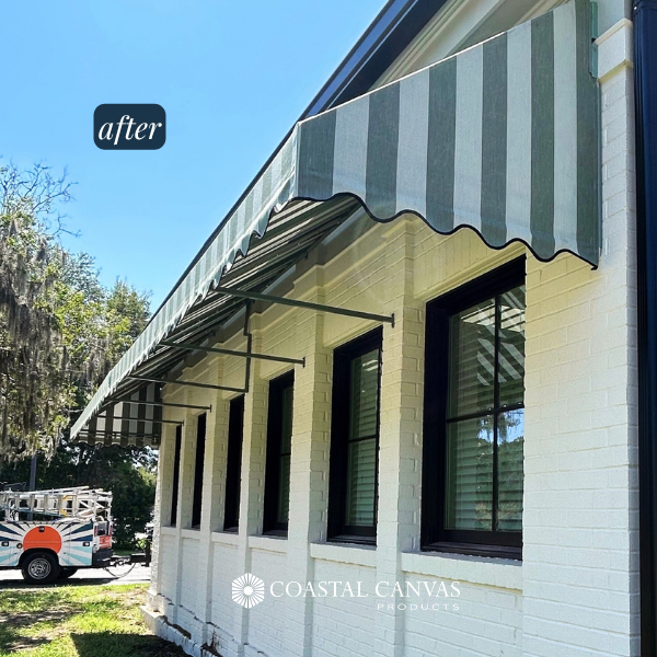 Coastal Savannah Vet Image 2