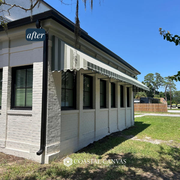Coastal Savannah Vet Image 3