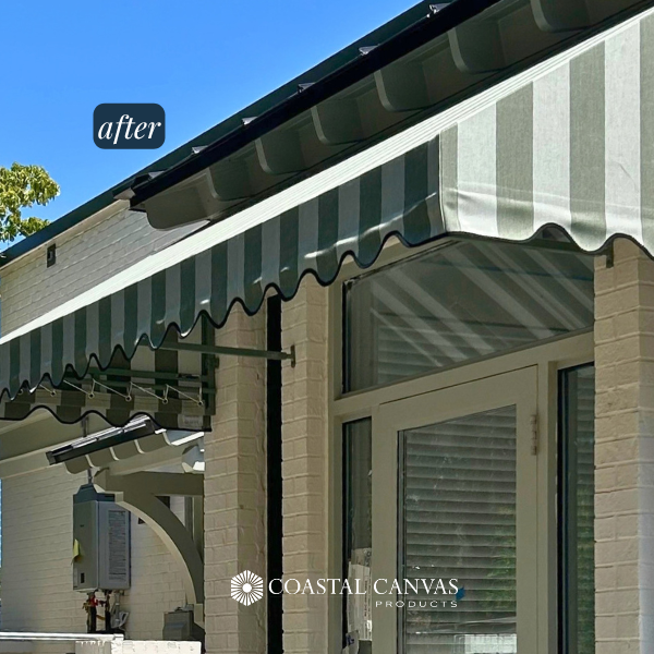 Coastal Savannah Vet Image 4