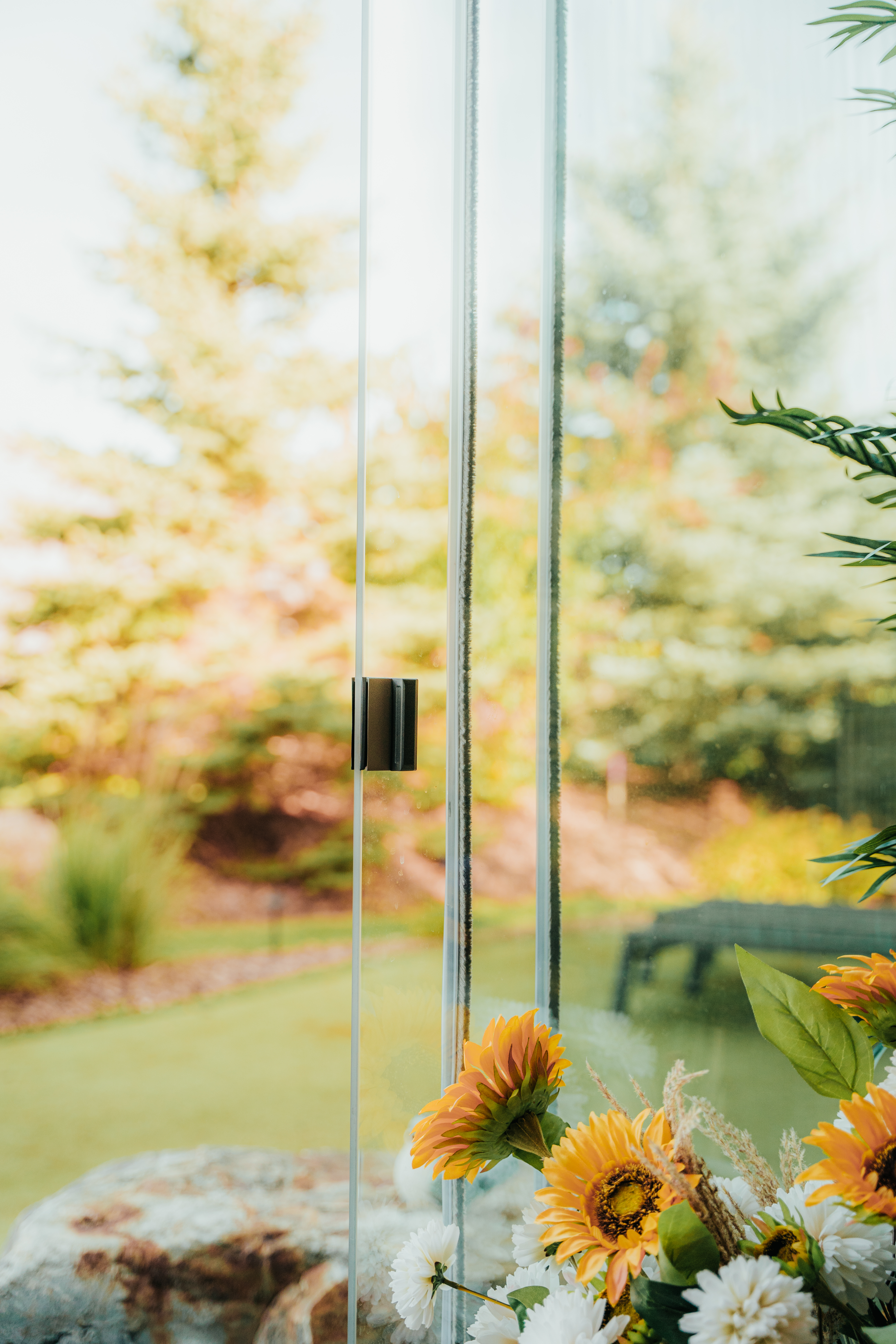Up close glass enclosure image